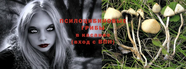 ПСИЛОЦИБИНОВЫЕ ГРИБЫ Балабаново